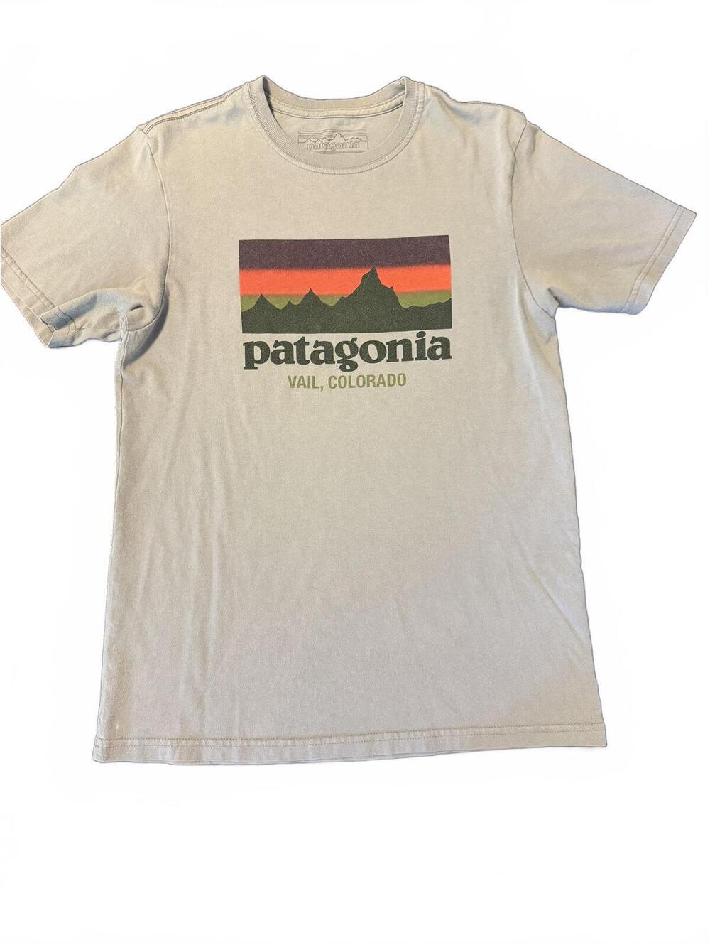 Patagonia Fitz Roy Horizons T Shirt Men’s Small Gray Organic Cotton Logo Tee